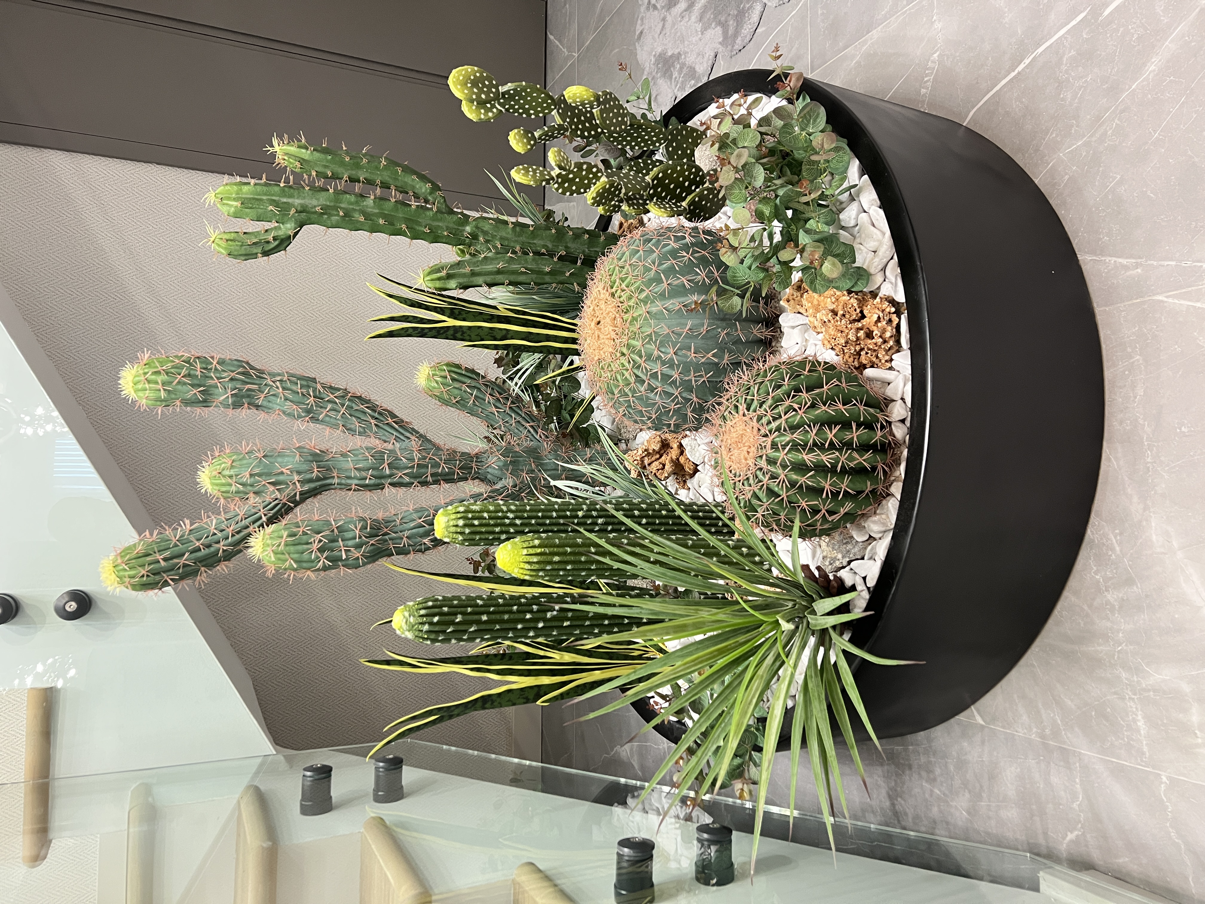 kaktüs yatay bahçe