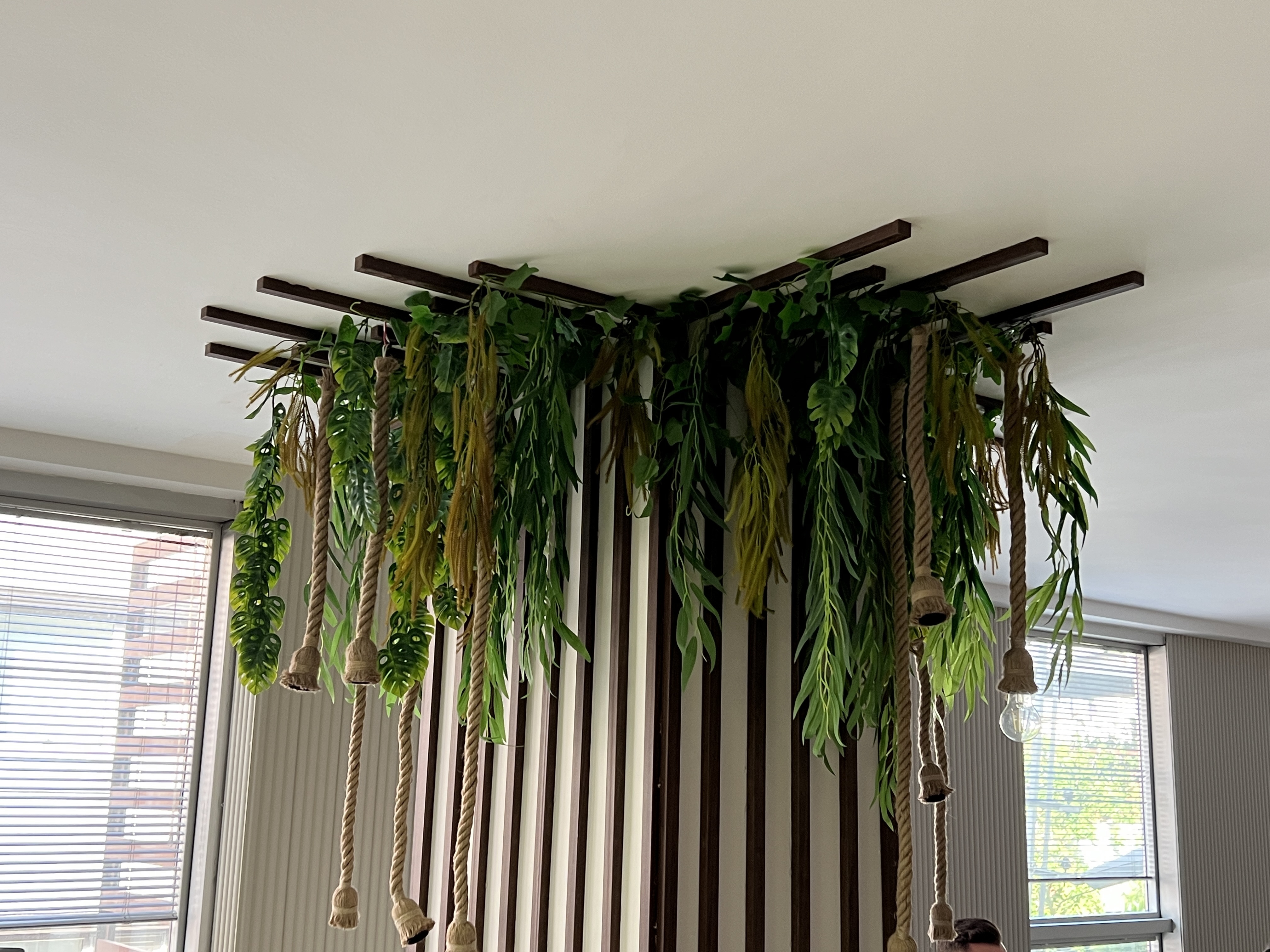 sarmaşık dekorasyonu