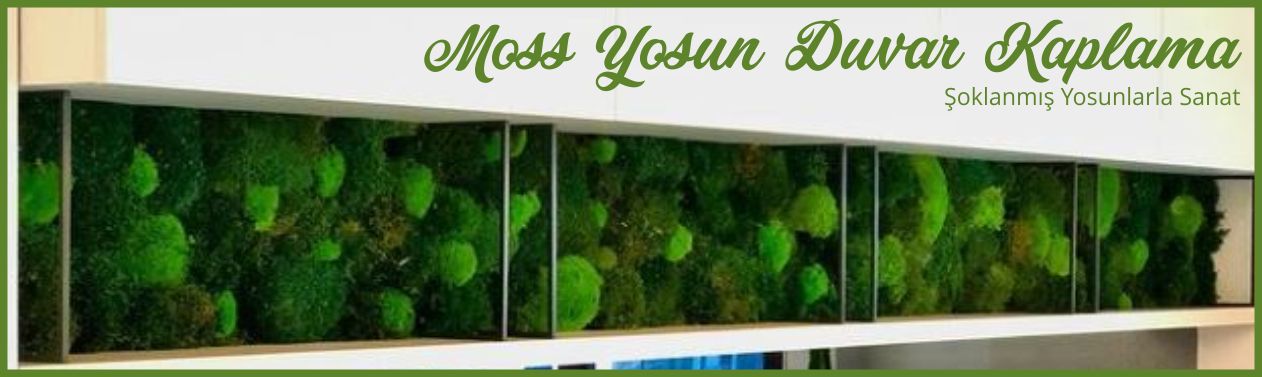 moss yosun duvar kaplama