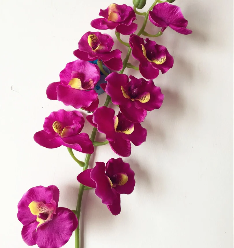 Rengarenk Orkide Çiçeklerinin Anlamları Neler?