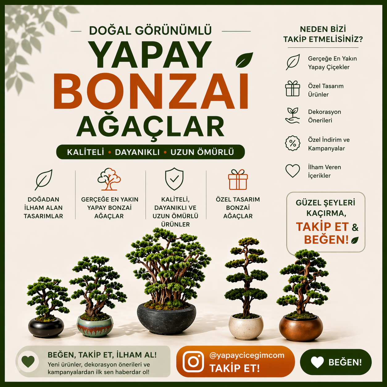 bonzai