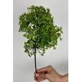 Bonzai Dal Yeşil UV Korumalı