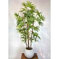 Yapay Rhapis Palmiyesi Detaylı Fotoğrafı