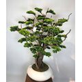 Süper Lüks Yapay Bonzai Ağacı – Dekoratif Ofis ve Ev Bonsai Modeli Detaylı Fotoğrafı