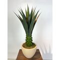 Dekoratif Yapay Agave Ağacı Detaylı Fotoğrafı