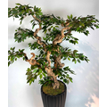 Yapay Ficus Bonzai Ağacı yaprak g&ouml;r&uuml;n&uuml;m&uuml;