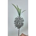 Ananas Garnitür