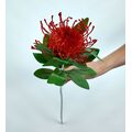 İğne Yastığı Protea