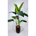 Alocasia Fil Kulağı Yapay Ağaç detay fotoğrafı
