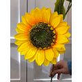 Yapay Ayçiçeği Büyük Boy yaprak görseli