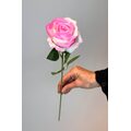 Tekli Pembe