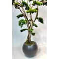 1.50 Mt Japon Yapay Bonsai Ağacı