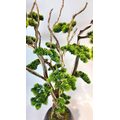1.50 Mt Japon Yapay Bonsai Ağacı