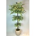 Yapay Ficus Ağacı