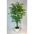 1.80 Mt. Yapay Limon Ağacı