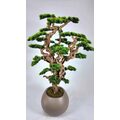 Bonsai Yapay Ağa&ccedil; Plastik Saksılı Detaylı Fotoğrafı