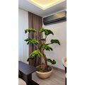 Villa Dekorasyonu İçin Bonsai Ağacı
