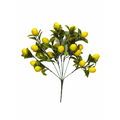 Yapay Limon Demeti