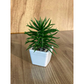 Mini Saksılı Çiçek 10 cm