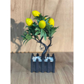 Minik Saksılı Bonzai Limon
