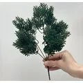 Koyu Yeşil &Ccedil;am Dalı Demeti