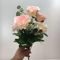 Pembe Okaliptuslu G&uuml;l Demeti