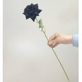 Tek Dal Siyah Kadife G&uuml;l