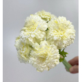 Krem Yapay Gerbera Çiçegi
