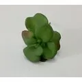 K&uuml;&ccedil;&uuml;k Vazo &Ccedil;i&ccedil;ekleri