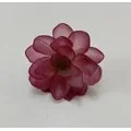Kırmızı K&uuml;&ccedil;&uuml;k &Ccedil;i&ccedil;ekler