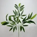 Bambu Yaprağı