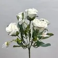 Beyaz K&uuml;&ccedil;&uuml;k Şakayık