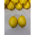 Yapay Limon Adet
