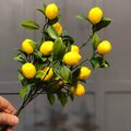 Yapay Küçük Limon Demeti