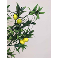 limon çiçeği yapay