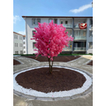 Büyük Boyutlu Yapay Sakura Ağacı Detay Fotoğrafı