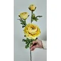 Sarı Uzun G&uuml;l Dalı