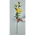 Sarı Uzun G&uuml;l Dalı