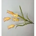 Turuncu Pampas Otu Yapay