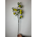 Yapay Uzun Saplı Elma Dalı