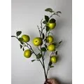 Yapay Uzun Saplı Elma Dalı