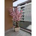 Premium Yapay Sakura Ağacı Detay Fotoğrafı