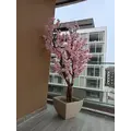 Premium Yapay Sakura Ağacı Uzak &Ccedil;ekim Fotoğrafı