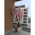 Premium Yapay Sakura Ağacı Uzak &Ccedil;ekim Fotoğrafı