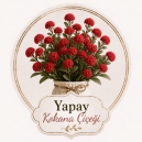 Yapay Kokina Çiçeği