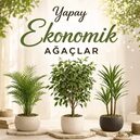 Ekonomik Ağaç Modelleri Kategorisi