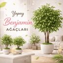 yapay Benjamin yaprak