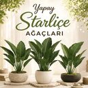 Yapay Starliçe Ağacı kategorisi