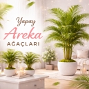 yapay areka