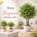 yapay Benjamin yaprak